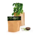 Produit personnalisé Petit pot Kraft de plante promotionnel Plantes